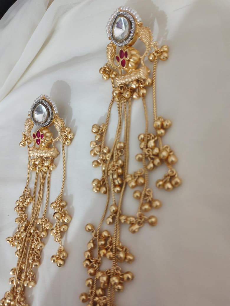 Earrings