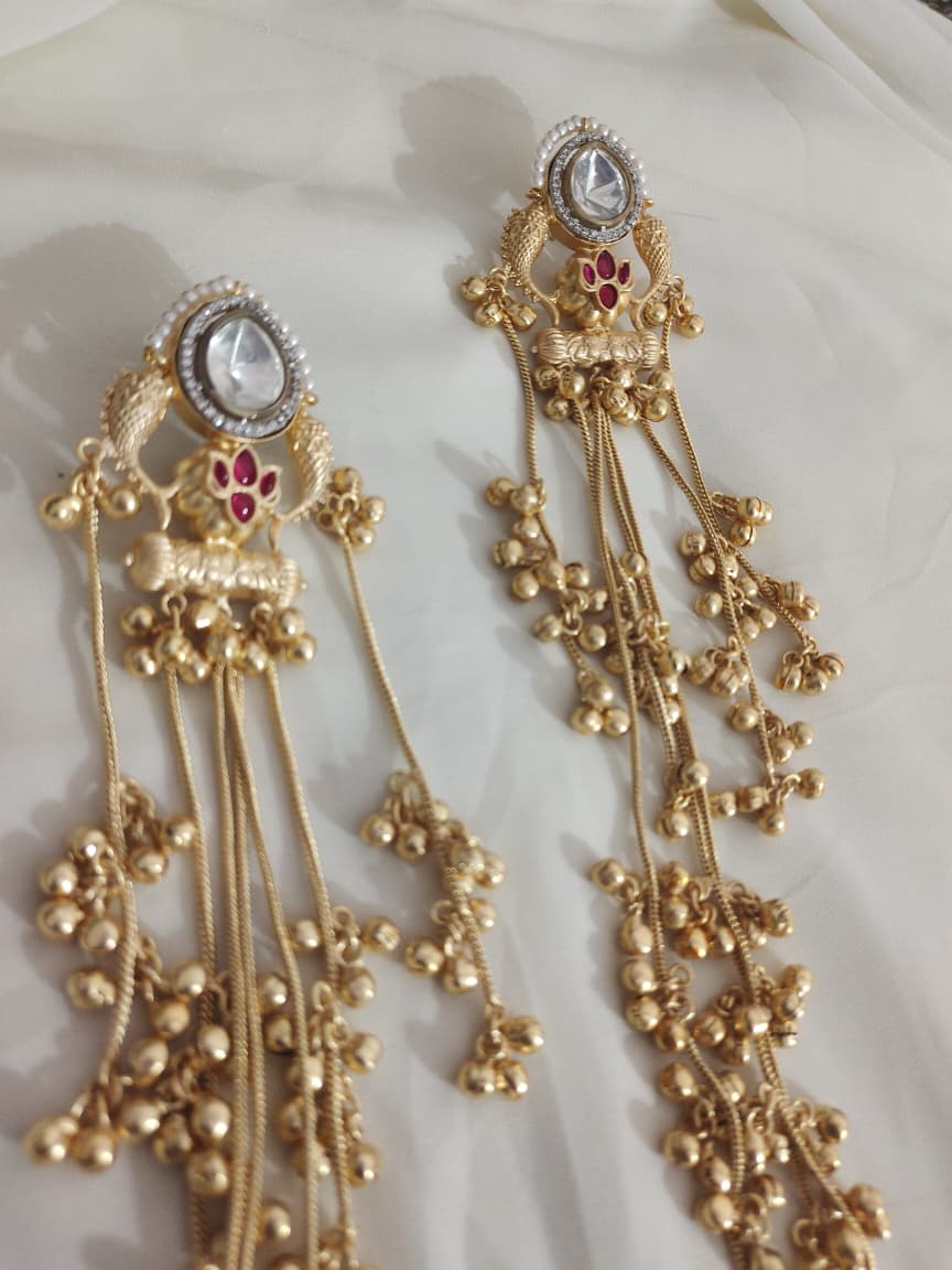 Earrings